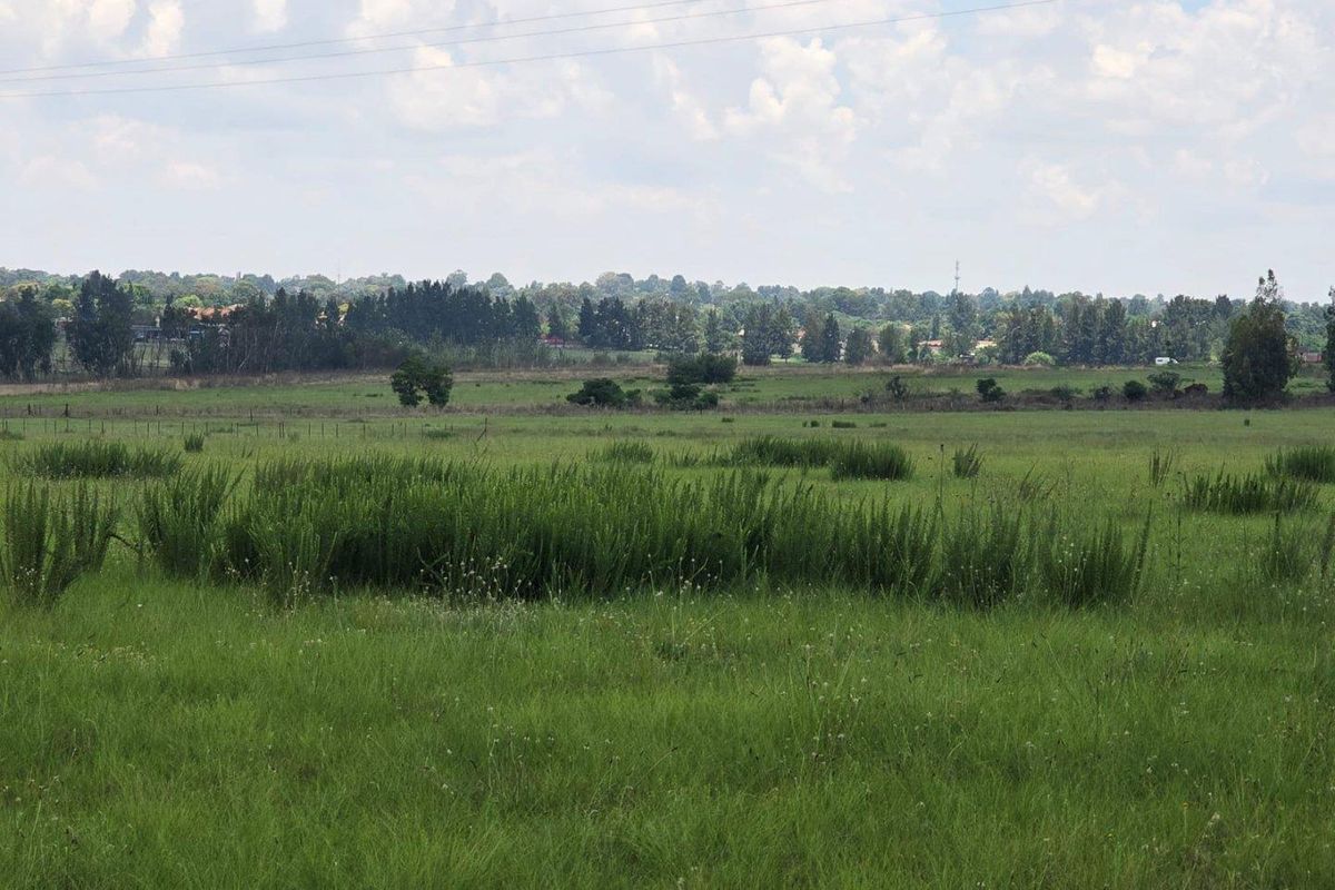 Farm For Sale in Vlakfontein, Benoni - Photo 3