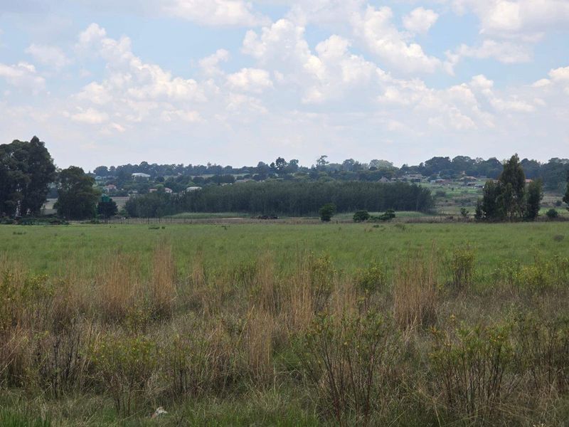 Farm For Sale in Vlakfontein, Benoni - Photo 7