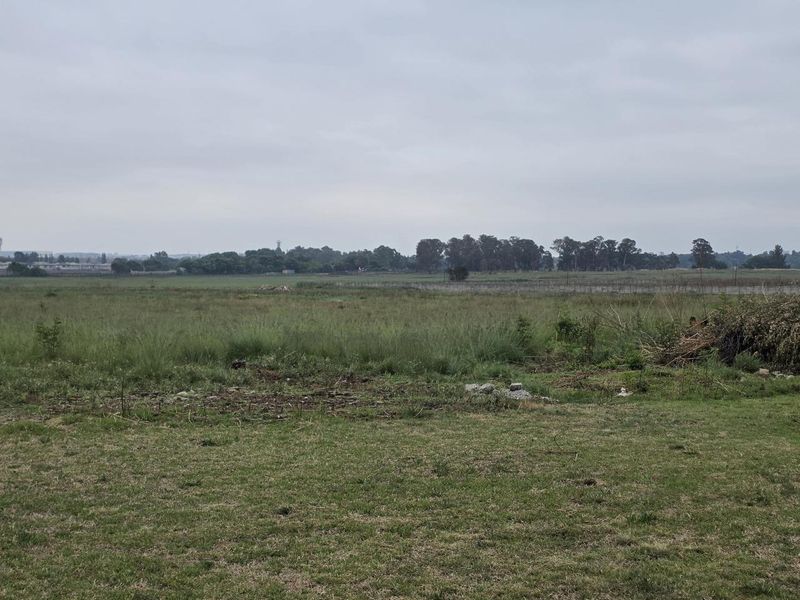 Farm For Sale in Brentwood Park AH, Benoni - Photo 3