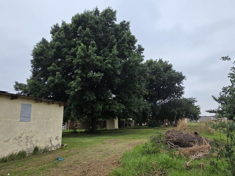 Farm For Sale in Brentwood Park AH, Benoni - Photo 4