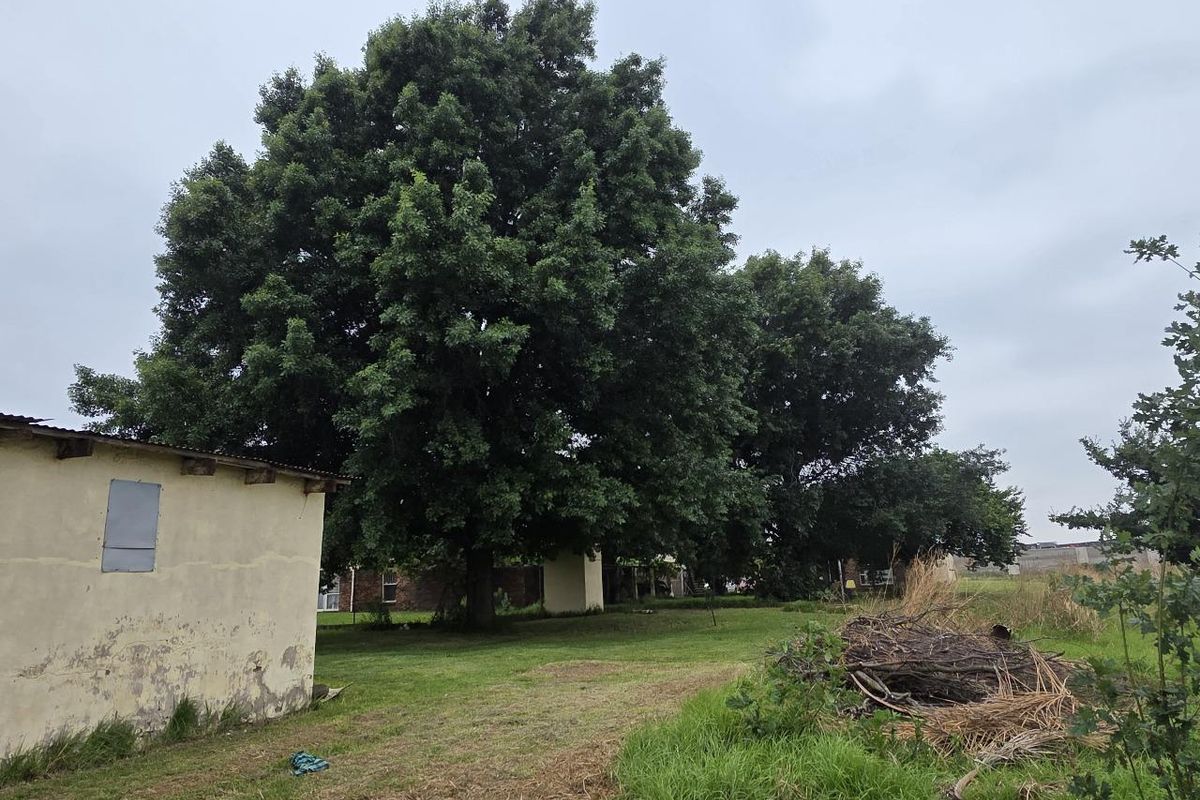 Farm For Sale in Brentwood Park AH, Benoni - Photo 4