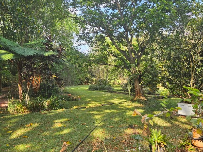 Small Holding with a Workshop, Cottage,  Bed and Breakfast facility and Upmarket Family Home - Photo 10