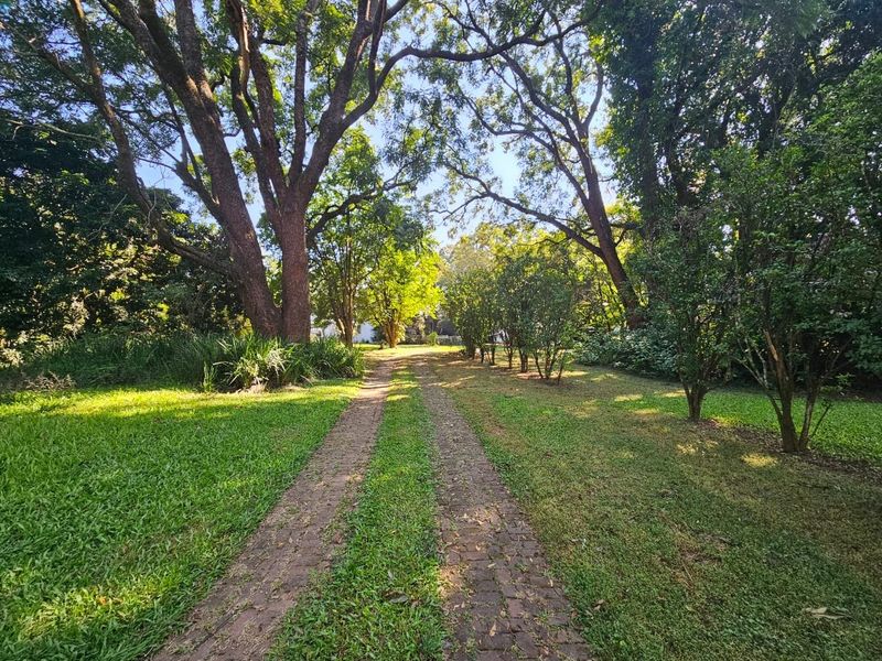 Small Holding with a Workshop, Cottage,  Bed and Breakfast facility and Upmarket Family Home - Photo 1