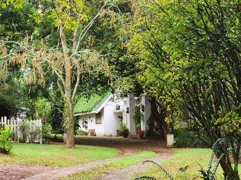 Small Holding with a Workshop, Cottage,  Bed and Breakfast facility and Upmarket Family Home - Photo 2