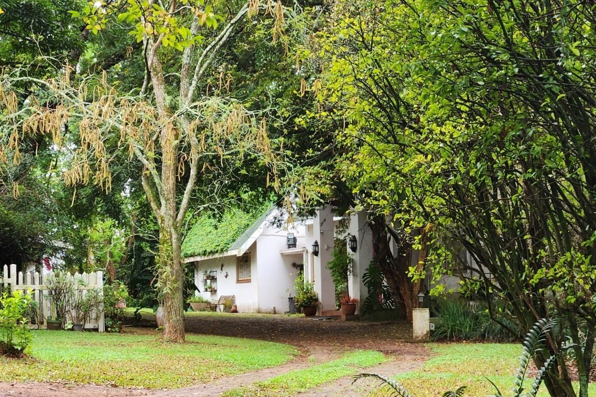 Small Holding with a Workshop, Cottage,  Bed and Breakfast facility and Upmarket Family Home - Photo 2