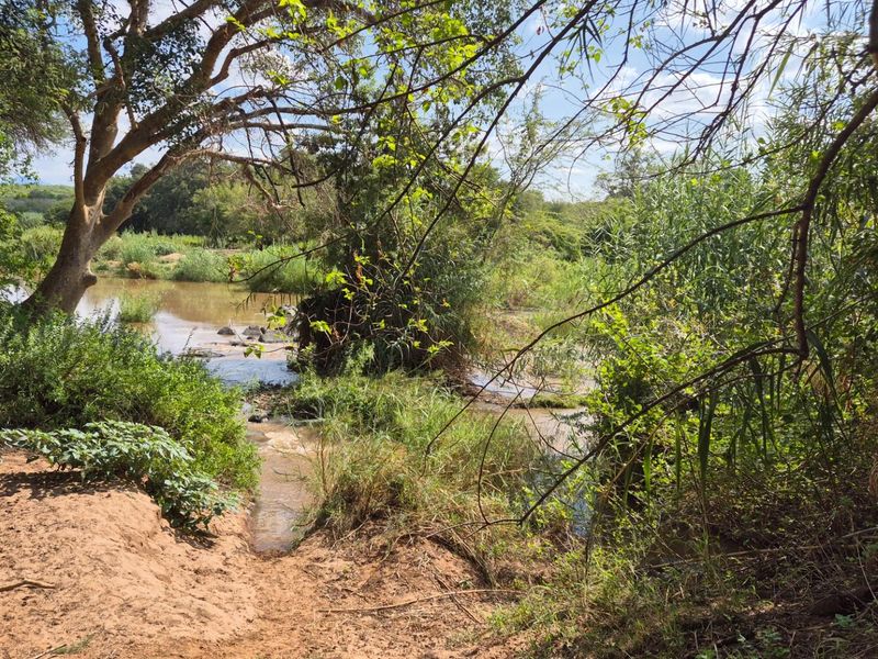 Stunning 14ha plot bordering the Olifants River with 200m river front for sale in Mica, Hoedspruit - Photo 8