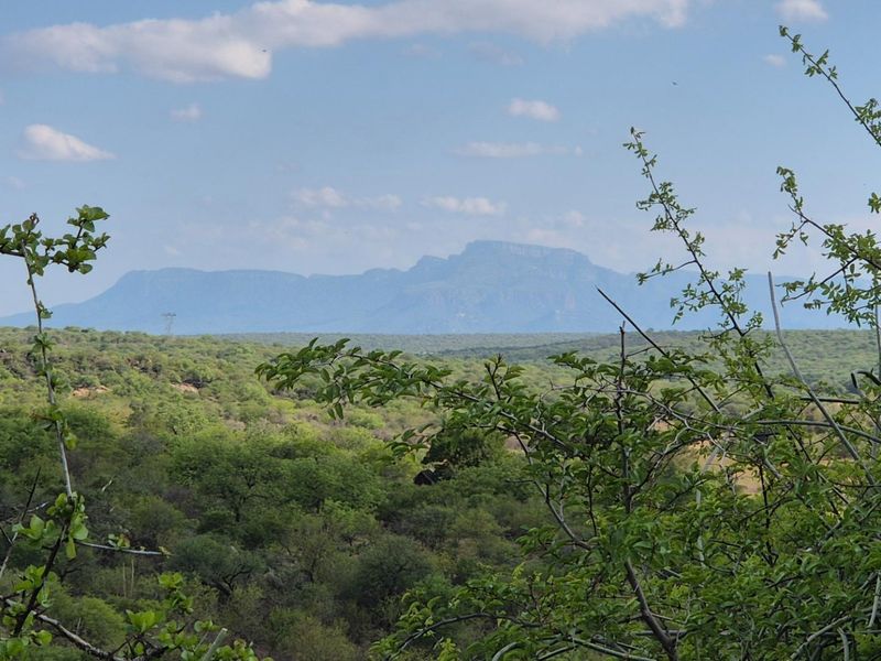 Stunning 14ha plot bordering the Olifants River with 200m river front for sale in Mica, Hoedspruit - Photo 2