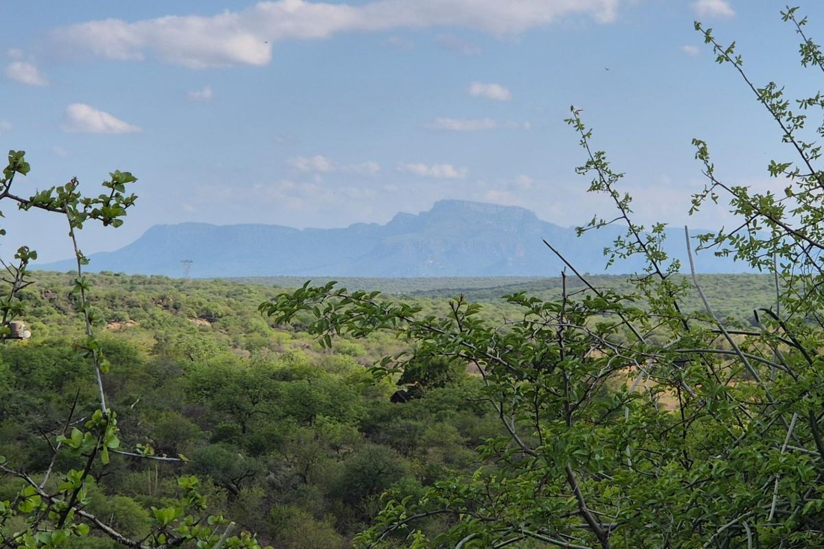 Stunning 14ha plot bordering the Olifants River with 200m river front for sale in Mica, Hoedspruit - Photo 2
