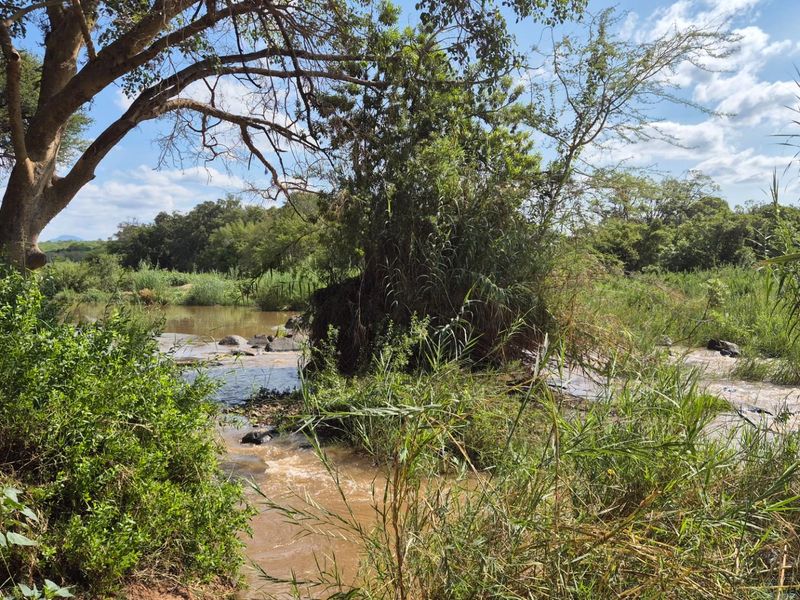 Stunning 14ha plot bordering the Olifants River with 200m river front for sale in Mica, Hoedspruit - Photo 5