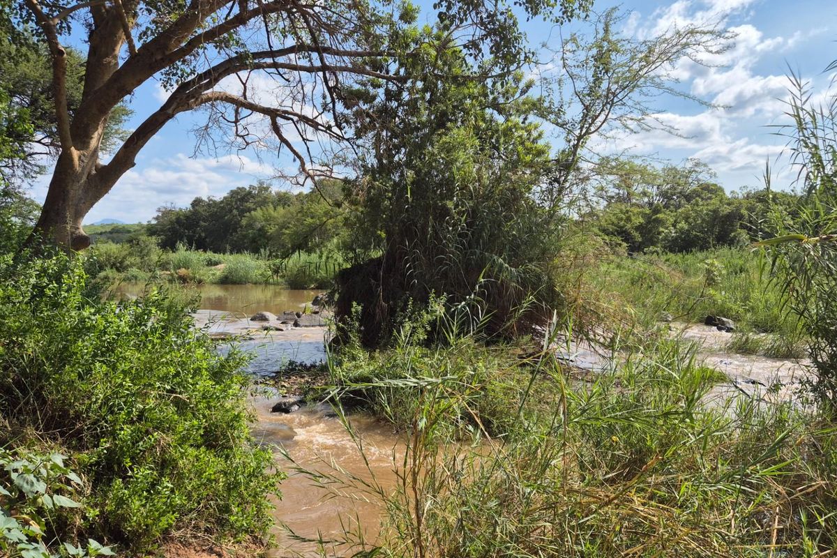 Stunning 14ha plot bordering the Olifants River with 200m river front for sale in Mica, Hoedspruit - Photo 5