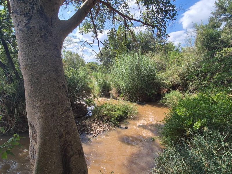Stunning 14ha plot bordering the Olifants River with 200m river front for sale in Mica, Hoedspruit - Photo 3