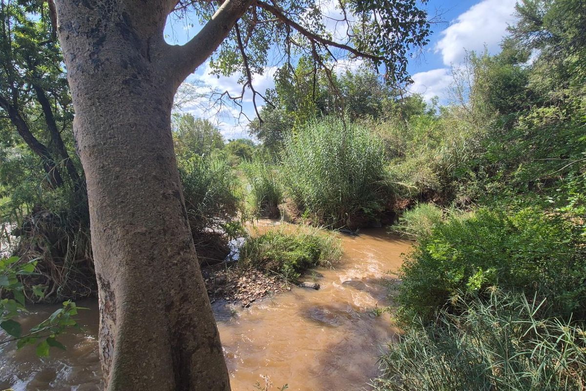 Stunning 14ha plot bordering the Olifants River with 200m river front for sale in Mica, Hoedspruit - Photo 3