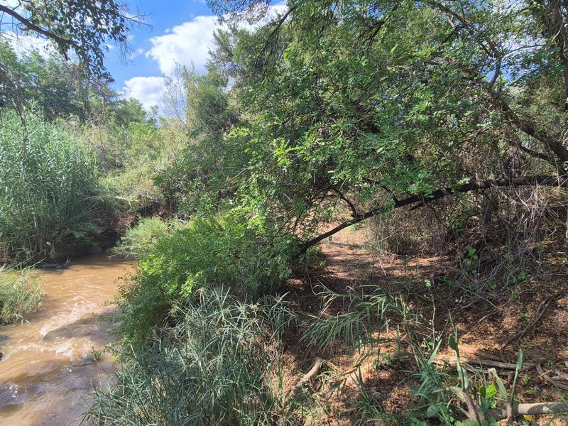 Stunning 14ha plot bordering the Olifants River with 200m river front for sale in Mica, Hoedspruit - Photo 4