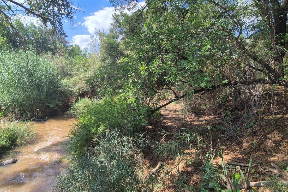 Stunning 14ha plot bordering the Olifants River with 200m river front for sale in Mica, Hoedspruit - Photo 4