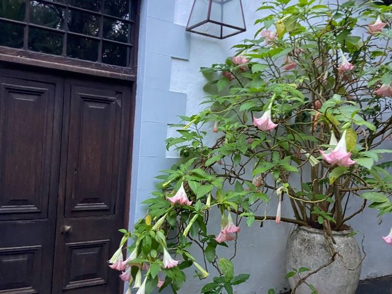 Guest House For Sale in Hopefield - Photo 6