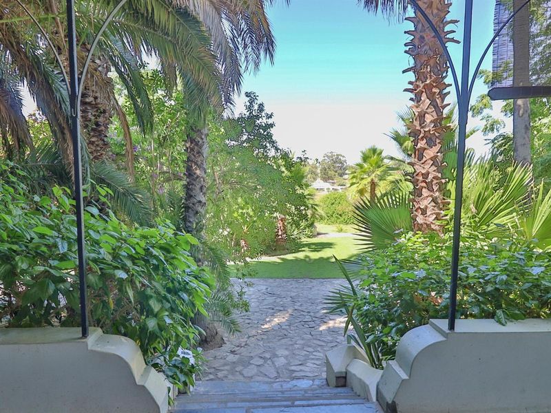 A view from a covered patio looking out over a stone-paved pathway leading into a lush, landscaped garden with mature palm trees.