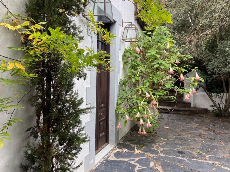 A charming exterior side entrance featuring a dark wood door, stone paved pathway, and established garden landscaping.