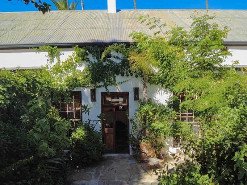 A charming rear exterior view of the property featuring a stone patio, classic timber-framed windows, and a corrugated metal roof surrounded by lush garden greenery.