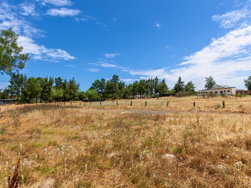 PRICE REDUCED - 12.5 Ha Income property, 2 Main Houses, 3 Cottages, Office and Historic Farmstall - Photo 10