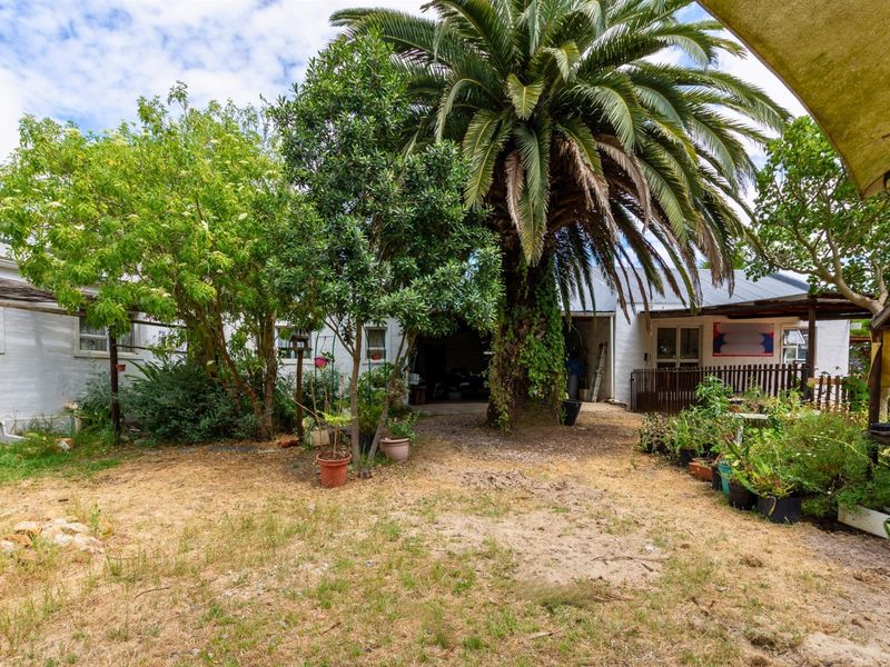 PRICE REDUCED - 12.5 Ha Income property, 2 Main Houses, 3 Cottages, Office and Historic Farmstall - Photo 6