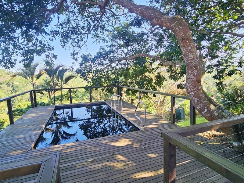 Elevated outdoor pool area featuring a timber deck surround, stainless steel pool ladder, and scenic natural views.