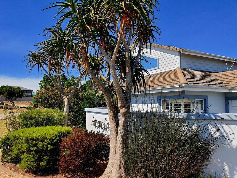A Light-Filled Coastal Haven Where Space, Style and Comfort Come Together - Photo 3