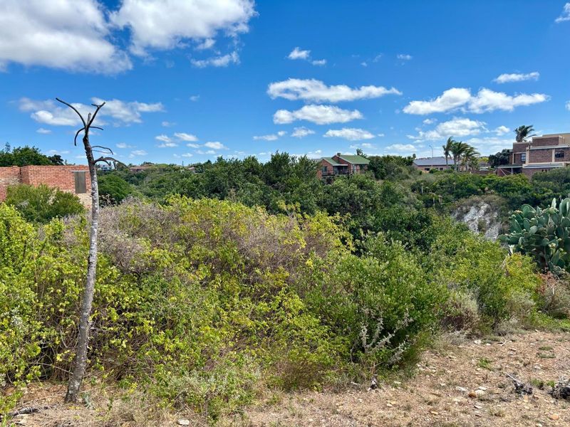 Vacant Land For Sale in Jeffreys Bay - Photo 2