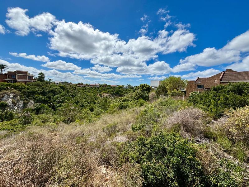 Vacant Land For Sale in Jeffreys Bay - Photo 5