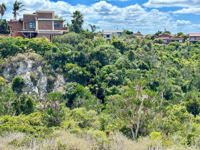 Vacant Land For Sale in Jeffreys Bay - Photo 4