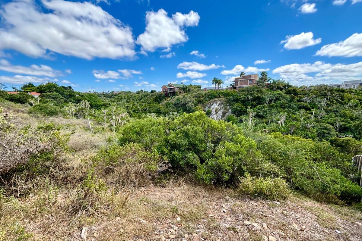 A wide-angle view of a natural, vegetated landscape with sloped terrain and distant residential properties visible on the horizon.