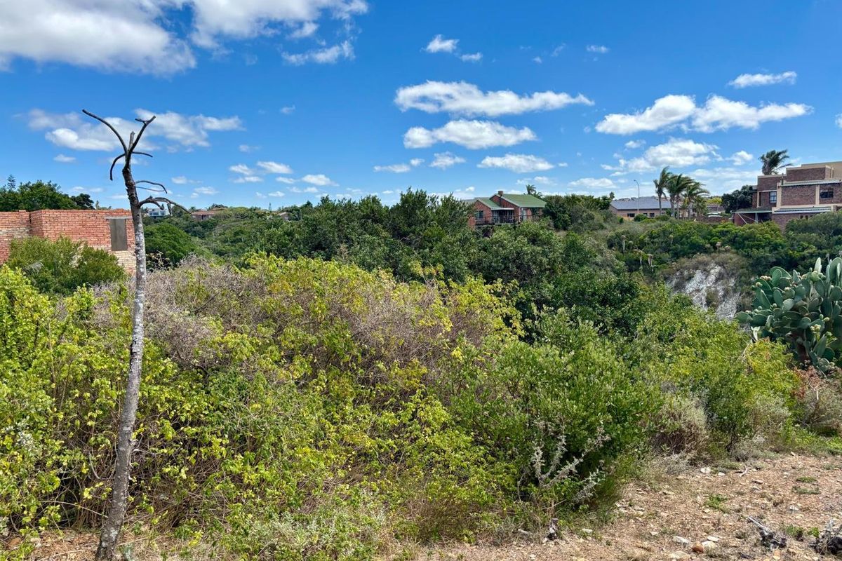 A view of the vacant residential land featuring natural indigenous vegetation and sloped terrain with surrounding neighborhood properties visible in the distance.