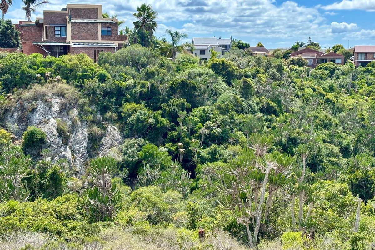 A scenic view of a natural landscape featuring dense indigenous vegetation and a rocky outcrop, with residential properties visible in the background.