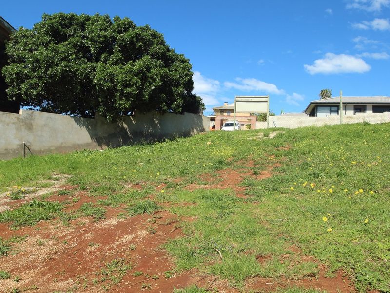 A vacant residential plot featuring a gentle slope, established boundary wall, and mature tree, offering a clear space for future development.