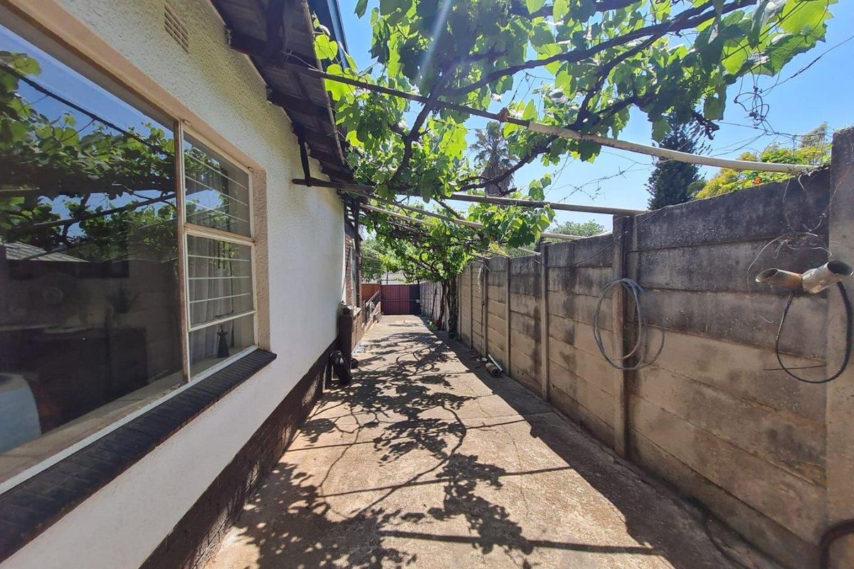 A narrow rear exterior walkway featuring concrete paving, a boundary wall, and an overhead grapevine trellis structure.