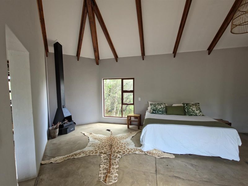 Private Game Farm -  Four bedroom home near Bela-Bela - 186 hectares -  SOLE MANDATE - Photo 10