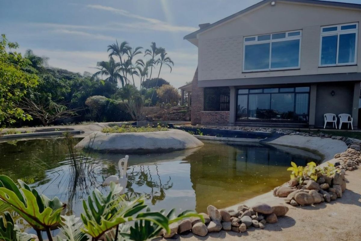 Rear view of the property featuring a large natural-style pond, landscaped garden area, and direct access to the main dwelling.