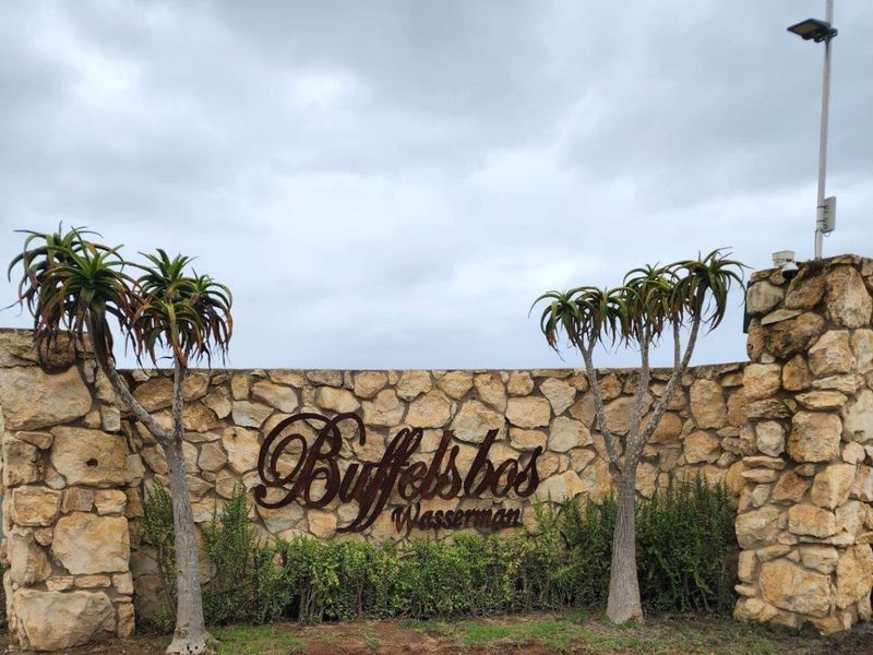 A stone-clad entrance wall featuring the property name Buffelsbos, accented with indigenous aloe trees and integrated security lighting.