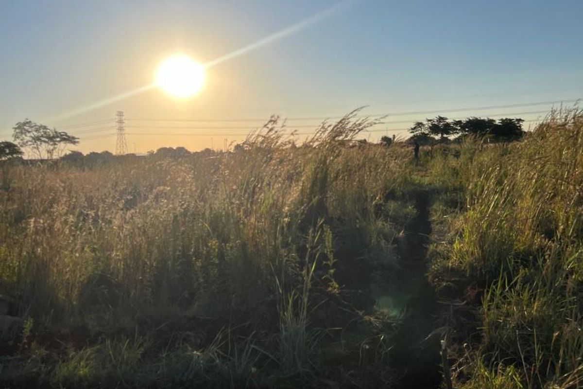 A view of an undeveloped residential plot of land featuring natural grass and vegetation under a clear sky.