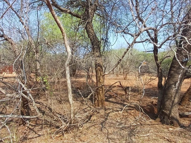 A view of a vacant residential plot featuring natural vegetation and mature trees, suitable for development.