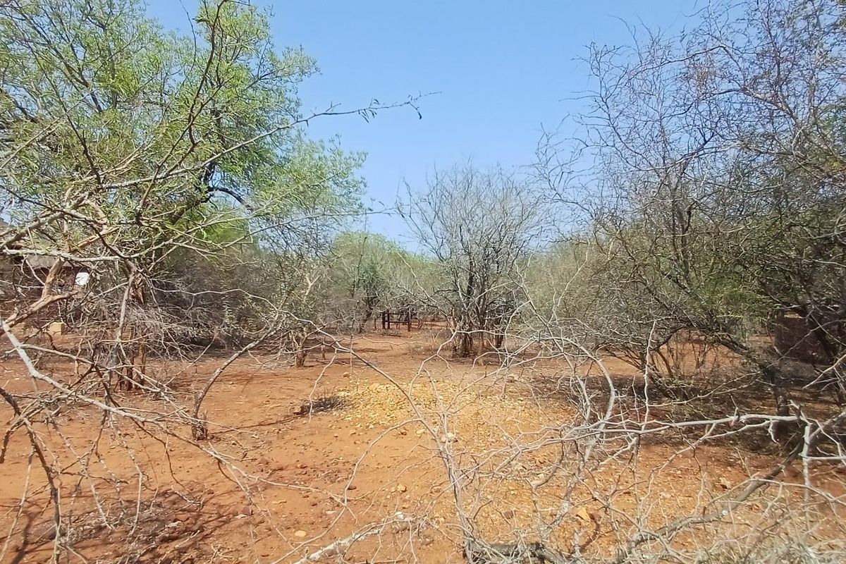 A view of a vacant residential plot featuring natural vegetation and native trees on a dry soil landscape.