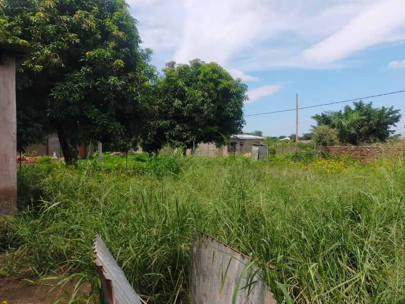 Vacant Land For Sale in Thohoyandou Block L - Photo 4