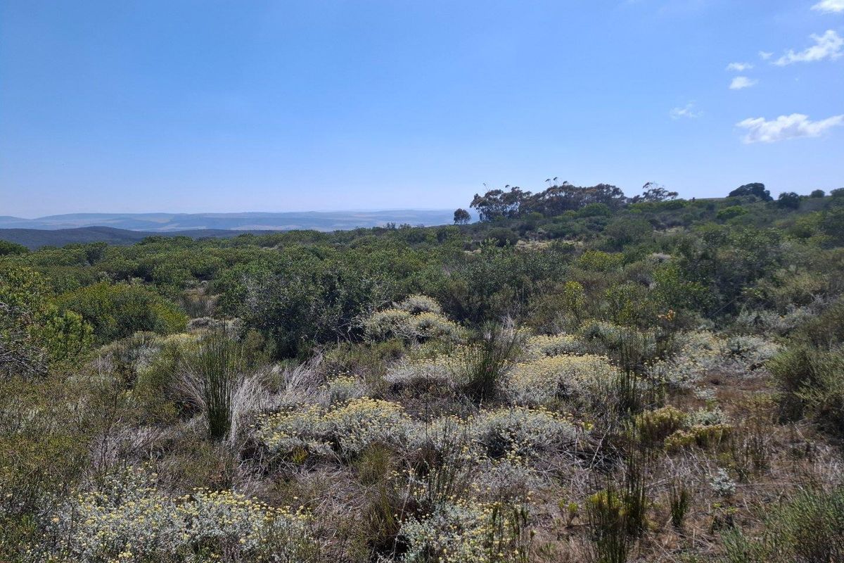 Farm UNDER OFFER in Stilbaai Rural, Stilbaai - Photo 4