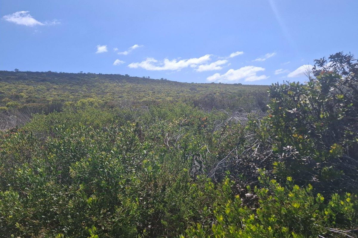 Farm UNDER OFFER in Stilbaai Rural, Stilbaai - Photo 5