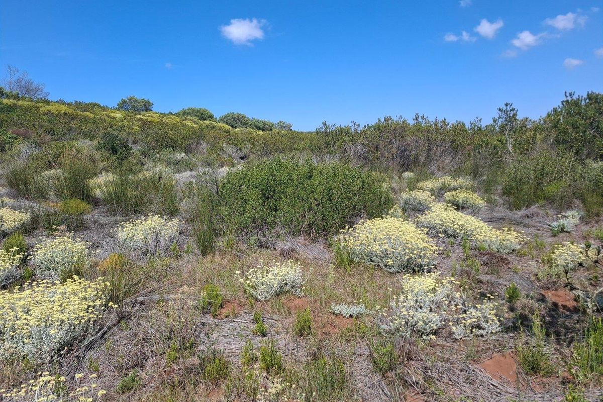 Farm UNDER OFFER in Stilbaai Rural, Stilbaai - Photo 3