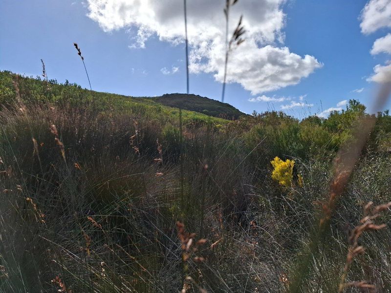 Farm UNDER OFFER in Stilbaai Rural, Stilbaai - Photo 2