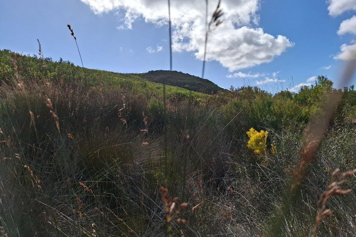 Farm UNDER OFFER in Stilbaai Rural, Stilbaai - Photo 2