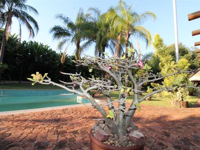 DOUBLE-STOREY THATCH-ROOF HOME IN CENTRAL BELA-BELA- 5 Bedrooms - Photo 3