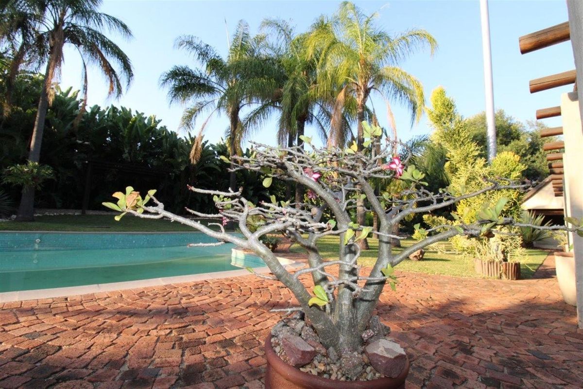 DOUBLE-STOREY THATCH-ROOF HOME IN CENTRAL BELA-BELA- 5 Bedrooms - Photo 3