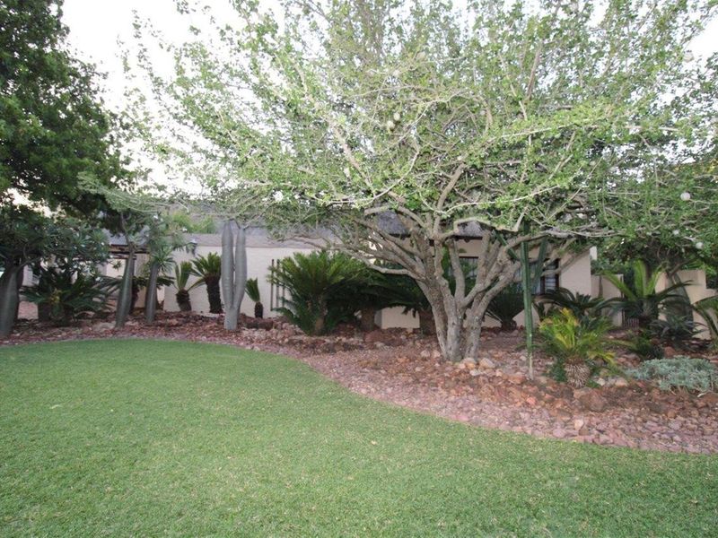 A well-maintained garden area featuring a manicured lawn, established trees, and rock-mulched landscaping beds.