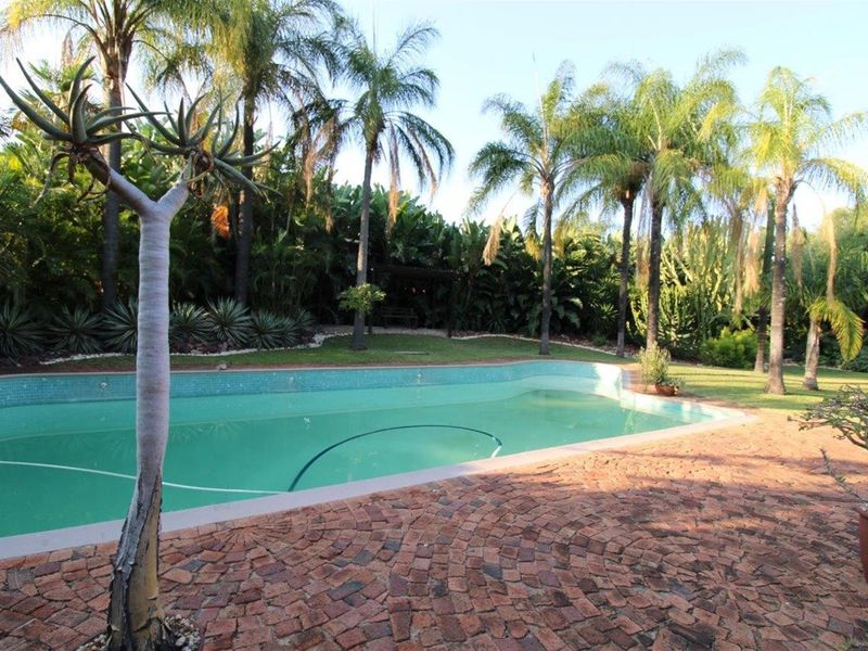 A private backyard featuring a swimming pool with brick paved surround, surrounded by established palm trees and lush garden landscaping.